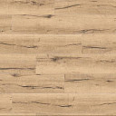 Ламинат Haro Tritty 100 Campus 4V ДУБ ИТАЛИКА КРЕМОВЫЙ 532060  | FLOORDEALER